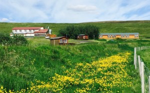 Rauðaskriða - Summer